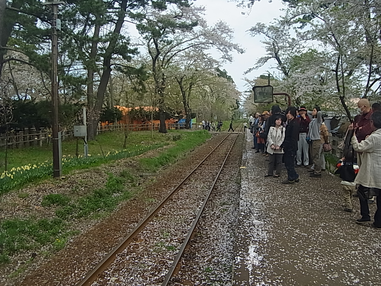 R0010070.JPG