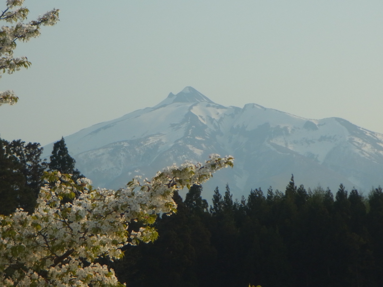R0010076.JPG