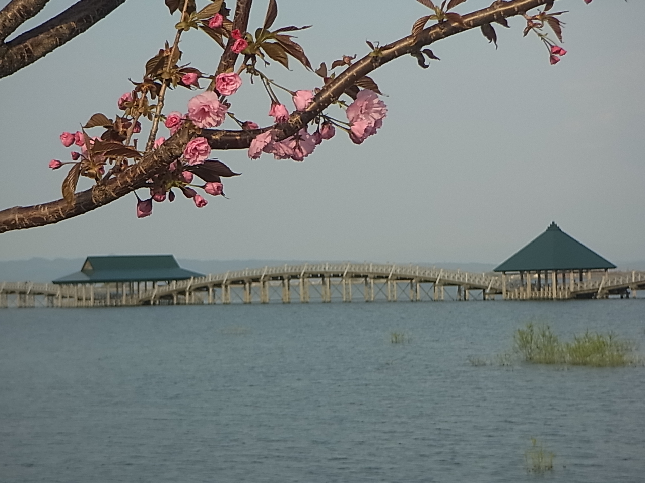 R0010077.JPG
