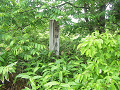 R0010307_thumb.png