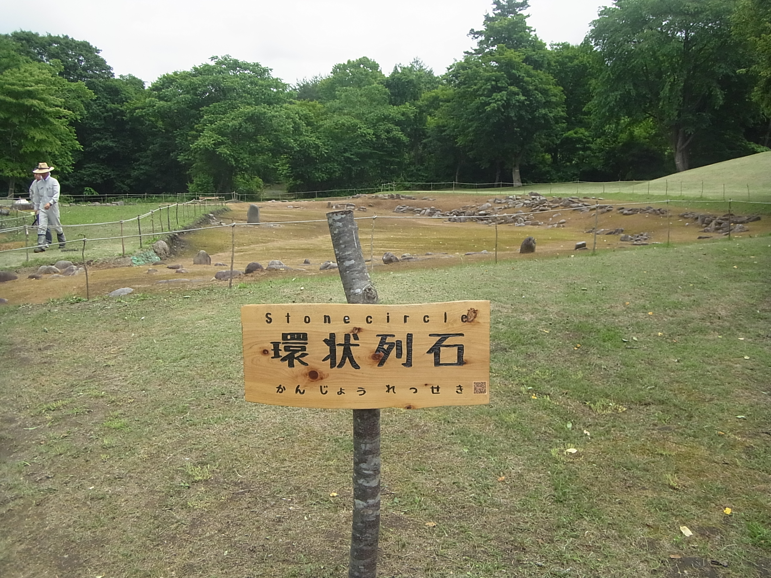 R0010313.JPG